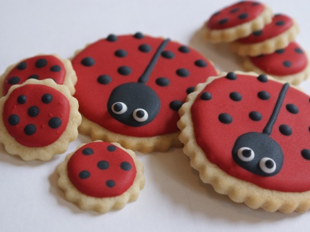 Novelty Cookies Class Singapore | Delicious Pastry | Hands-on Classes