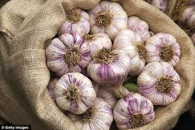 Supercharged Foods - Garlic
